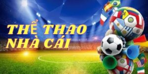 Thể thao ZOMCLUB - Sân chơi tuyệt vời nơi các trận đấu trở nên bùng nổ thăng hoa