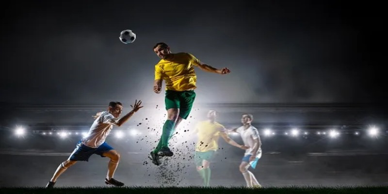 Các bộ môn cá cược hot nhất tại Thể thao Nohu Win