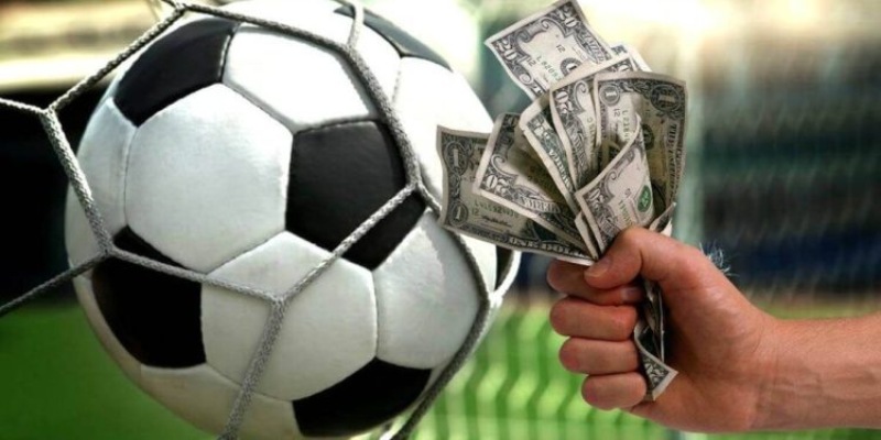 Thao tác sử dụng vô cùng đơn giản