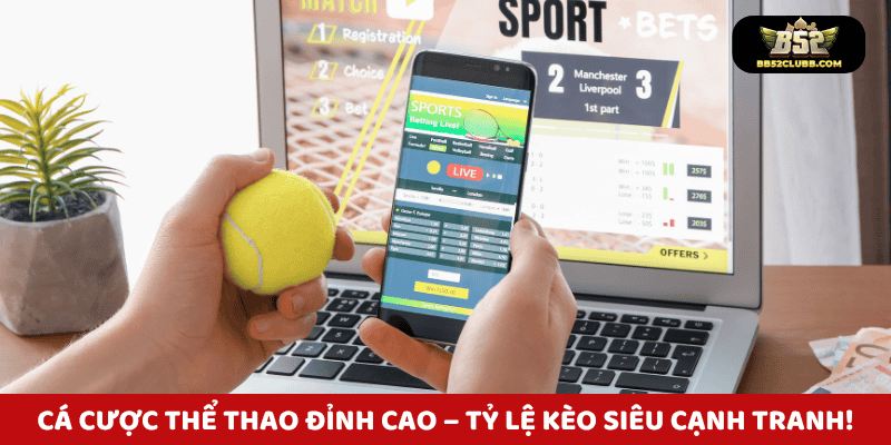 Việc theo dõi dòng tiền giúp bạn nắm bắt được xu hướng đặt cược của số đông